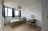 Miniature 4