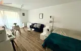 Miniature 4