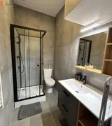 Miniature 3