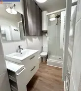 Miniature 4