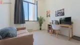 Miniature 4