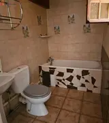Miniature 3