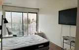 Miniature 5