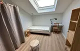 Miniature 4