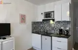 Miniature 3
