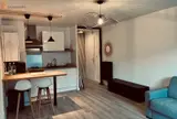 Miniature 4