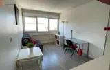 Miniature 8
