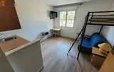 Miniature 5