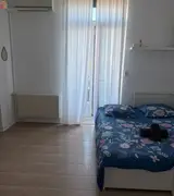 Miniature 0