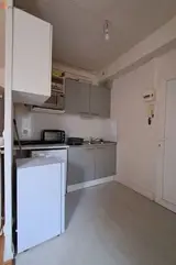 Miniature 1