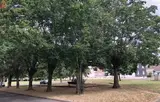 Miniature 5