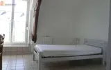 Miniature 3