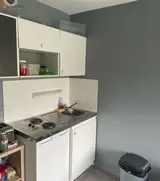 Miniature 9