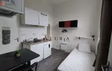 Miniature 24