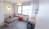 Miniature 20