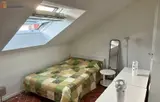 Miniature 6
