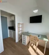 Miniature 22