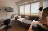 Miniature 19