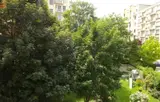 Miniature 9