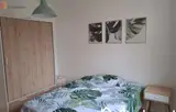 Miniature 5