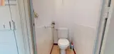 Miniature 10
