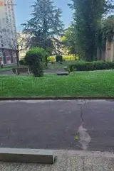 Miniature 3