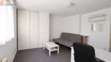 Miniature 10