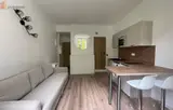 Miniature 6