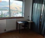 Miniature 5