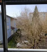 Miniature 26