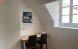 Miniature 13
