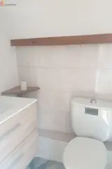 Miniature 24