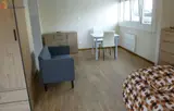 Miniature 25