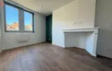 Miniature 4