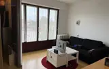 Miniature 0