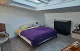 Miniature 24