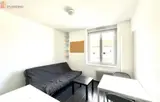 Miniature 19
