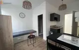 Miniature 25