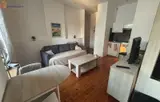 Miniature 0