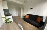 Miniature 4
