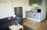 Miniature 19