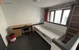 Miniature 8