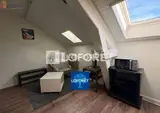 Miniature 0