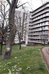 Miniature 5