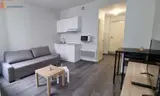 Miniature 9