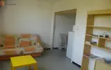 Miniature 25