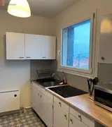 Miniature 45