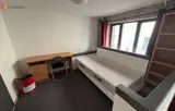 Miniature 31