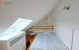 Miniature 5