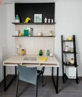 Miniature 9